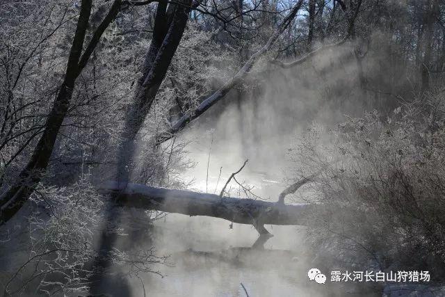 废旧轮胎20目胶粉到40胶粉用途？游戏画面