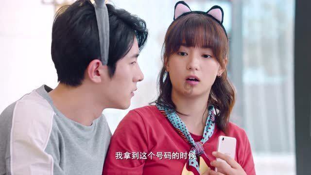 最新研究:这3种他汀,或能清除血管内皮衰老细胞